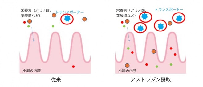 アストラジンの仕組み